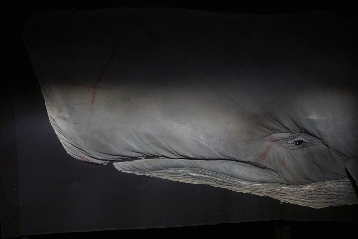 Fotografi fra Plexus Polaires produksjon Moby Dick (2020).